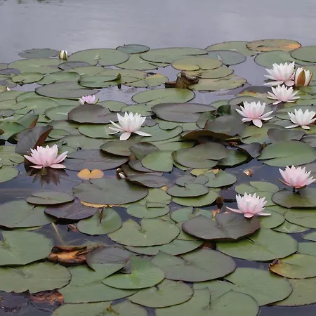 Ottenskamp4 En Het Achterhuis Дом отдыха Siebengewald