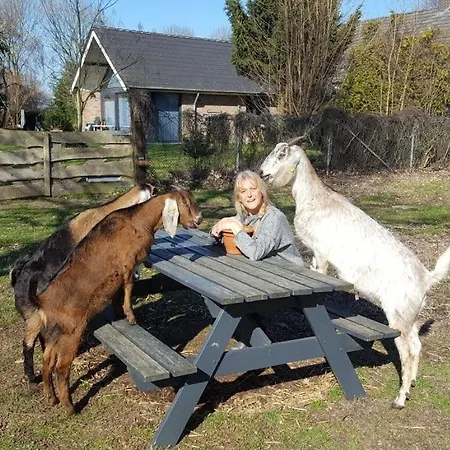 Дом отдыха Ottenskamp4 En Het Achterhuis