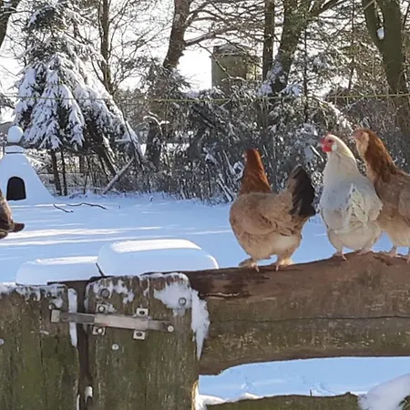 Ferienhaus Ottenskamp4 En Het Achterhuis