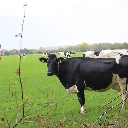 Ottenskamp4 En Het Achterhuis Ferienhaus