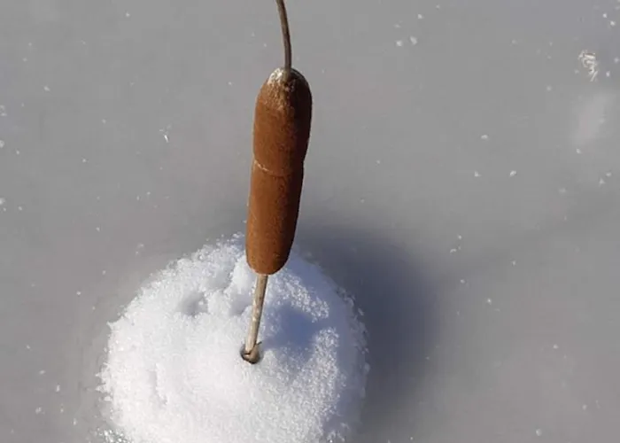 Ottenskamp4 En Het Achterhuis *