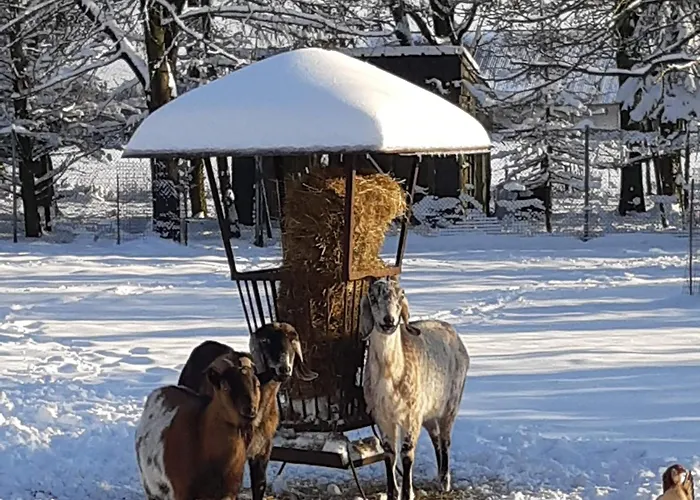 Casa de Férias Ottenskamp4 En Het Achterhuis *