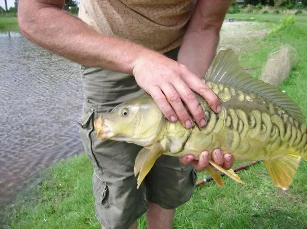 Ottenskamp4 En Het Achterhuis *