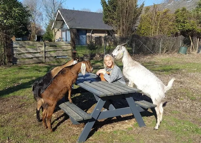 Casa de Férias Ottenskamp4 En Het Achterhuis