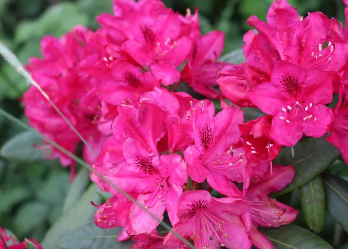 Ottenskamp4 En Het Achterhuis Casa de Férias Siebengewald