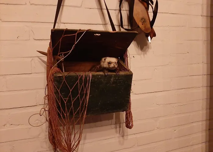 Ottenskamp4 En Het Achterhuis Casa de Férias Siebengewald