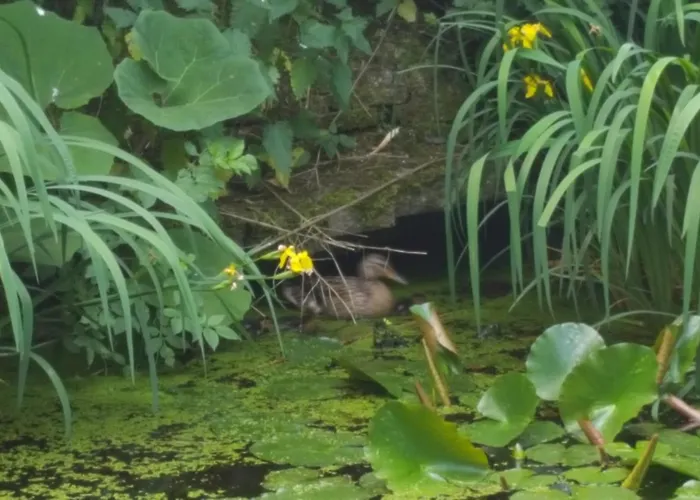 Ottenskamp4 En Het Achterhuis