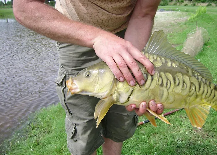 Casa de Férias Ottenskamp4 En Het Achterhuis *