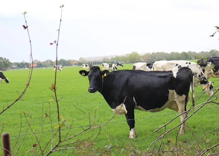 Ottenskamp4 En Het Achterhuis Casa de Férias