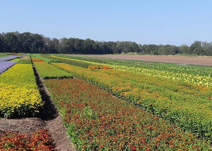 Casa de Férias Ottenskamp4 En Het Achterhuis *