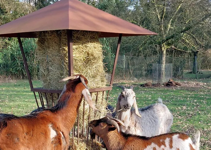 Ottenskamp4 En Het Achterhuis