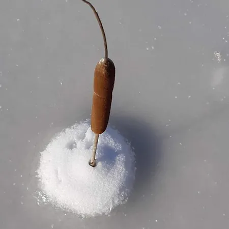 Ottenskamp4 En Het Achterhuis *