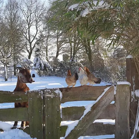 Ottenskamp4 En Het Achterhuis בית נופש *