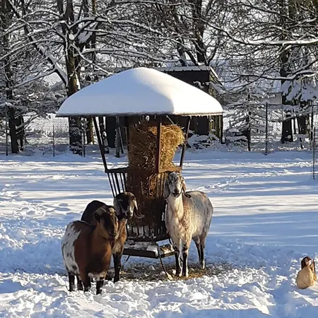 בית נופש Ottenskamp4 En Het Achterhuis *