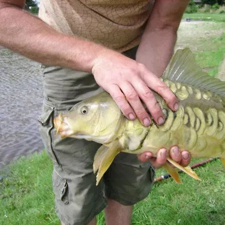 Ottenskamp4 En Het Achterhuis *