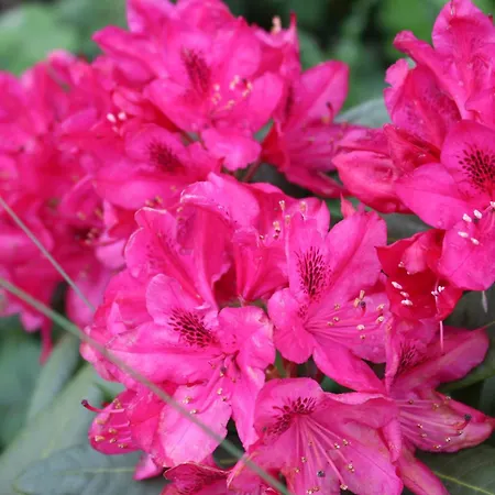 Ottenskamp4 En Het Achterhuis בית נופש Siebengewald