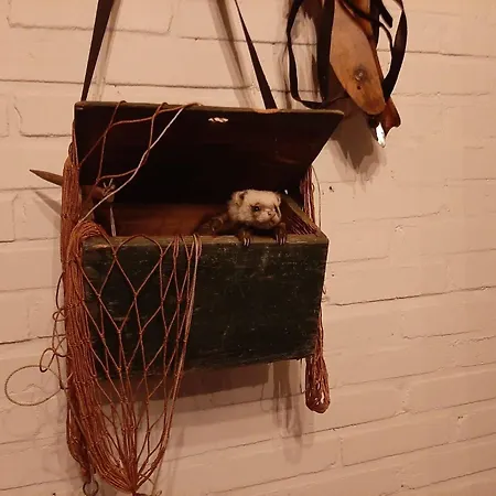 Ottenskamp4 En Het Achterhuis בית נופש Siebengewald