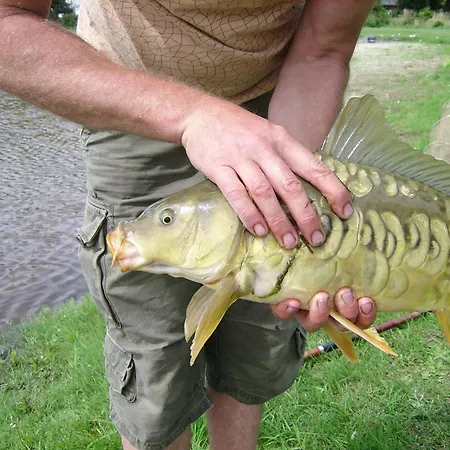 בית נופש Ottenskamp4 En Het Achterhuis *