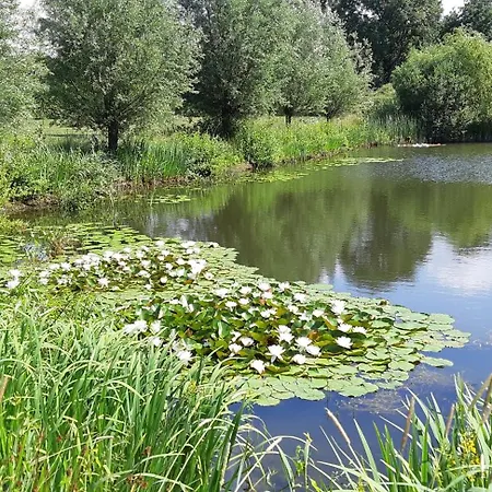 Ottenskamp4 En Het Achterhuis * Siebengewald