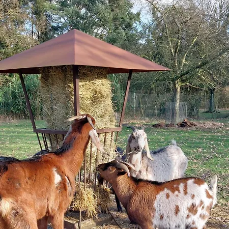 Ottenskamp4 En Het Achterhuis